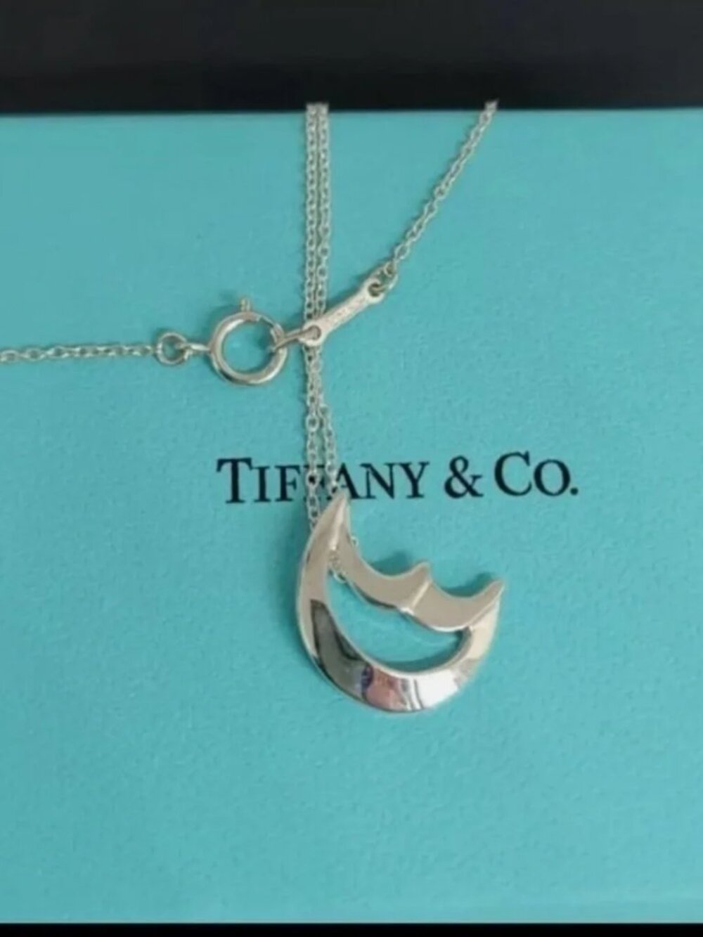 Tiffany & Co Silver Crescent Moon Pendant Necklace